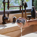 Ionic Non-Scratch Dish Sponges with Magnetized Holder, Odor Resistant Synthetic Scrub Sponges, 3 Pack, Black