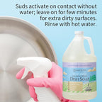 Ginger Lily Farms Botanicals Plant-Based Foaming Spray Dish Soap, Concentrated Formula with Max Grease Cleaning Power, Cruelty-Free, Lavender Chamomile Scent, 1 Gallon (Pack of 4)