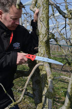 FELCO 621 Pruning Saw – Straight Pull-Stroke Saw for Tree Trimming & Forestry | Tree Branch Cutter | Handsaw with Tapered Hardened Steel 9.5" Blade, Non-Slip Handle, Carrying Sheath, Swiss Precision