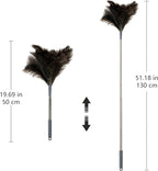 Extendable Ostrich Feather Duster – 51" (1.3 m) Long Reach Telescopic Handle Cleaning Tool, Natural Soft Feather Dusting Brush, Reusable and Durable for Furniture, Blinds, Ceiling Fans, High Shelves
