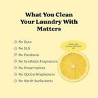 Pronounce Laundry Detergent Powder Alternative | Cleaner Ingredients. Safer for Sensitive Skin. Stain + Smell Fighting. With Essential Oils. HE Safe - 120 Loads (Lemon).