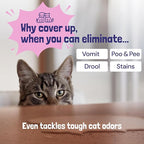 Sunny & Honey Pet Stain & Odor Miracle - 32 Fl Oz, Light Lavender Scent - Carpet Stain Remover & Urine Odor Eliminator - Upholstery Cleaner Spray - Enzyme Formula for Upholstery, Couch & Mattress