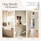 Young Living Thieves Household Cleaner | Plant-Based Multi Purpose Spray for Kitchen & Home | Eco Friendly All Purpose Surface Cleaner Concentrate 14.4 fl oz (2-Pack)