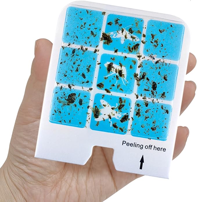 22 Pcs Refill Glue Cards Compatible with Safer Home SH502, SH503 Indoor Fly Trap and Dynatrapp DT3005W Plug-in Bug Light Trap