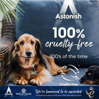 Astonish Specialist Oven & Grill Cleaner & Sponge, 250g – Heavy Duty Degreaser Paste with Orange Oil – Restores Shine to Ovens, Grills & Racks – No Harsh Chemicals, 3 Pack