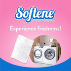 Spring Fresh Dryer Sheets 120ct