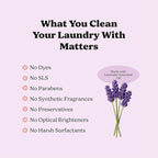 Pronounce Laundry Detergent Powder Alternative | Cleaner Ingredients. Safer for Sensitive Skin. Stain + Smell Fighting. With Essential Oils. HE Safe (Lavender, 120 Loads).
