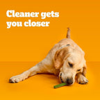 Pedigree Dentastix Large Breed Dog Treats, Fresh Flavor, (4) 15ct Bags (60 Treats Total)