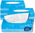 1InTheOffice Facial Tissue Paper, White Tissue, Flat Box with 100 Sheets, Soft 2-Ply, 6 Pack