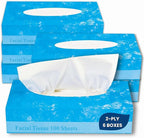 1InTheOffice Facial Tissue Paper, White Tissue, Flat Box with 100 Sheets, Soft 2-Ply, 6 Pack