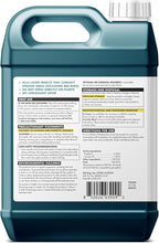 Sunday Bug Doom - Home Insect Spray - Outdoor Insect Repellent - Botanically Derived Formula - 1 Gallon Bottle & Wand Sprayer