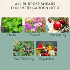Modern Sprout Pruning Shears, Herb Snipping Scissors, Lightweight Gardening Tools W/Easy Lock, Flower Cutter Garden Shears, Carbon Steel Blade + Reusable Holster (Green, 1-Pack)