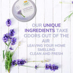 Citrus Magic Odor Absorbing Solid Air Freshener, Lavender Escape, 8-Ounce, Pack of 6