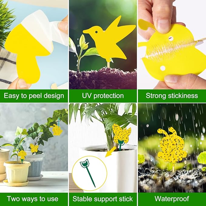 48 Pack Gnat Traps for House Indoor, Sticky Traps for Gnats Fruit Fly Traps for Indoors Plant Gnat Killer Indoor, Gnat Trap Fungus Gnat Sticky Trap Flies Bug Plant Trap