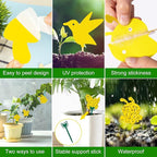 48 Pack Gnat Traps for House Indoor, Sticky Traps for Gnats Fruit Fly Traps for Indoors Plant Gnat Killer Indoor, Gnat Trap Fungus Gnat Sticky Trap Flies Bug Plant Trap