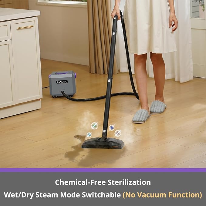 Canister Steam Cleaner: 50-Sec Heat-Up, 0.6 Gal Tank Refill Anytime (Non-Pressurized), 1650W, 60 PSI, 21-Pcs Kit, Dry/Wet Modes, Detachable Hose for Tile Grout Furniture Floor Car Cleaning Gray