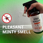 Kate's Home & Garden Spider Repellent Indoor. All Natural Peppermint Oil Spray for Spiders & Outdoor (16oz, Non Toxic Pesticide & Insecticide, Pet Safe)