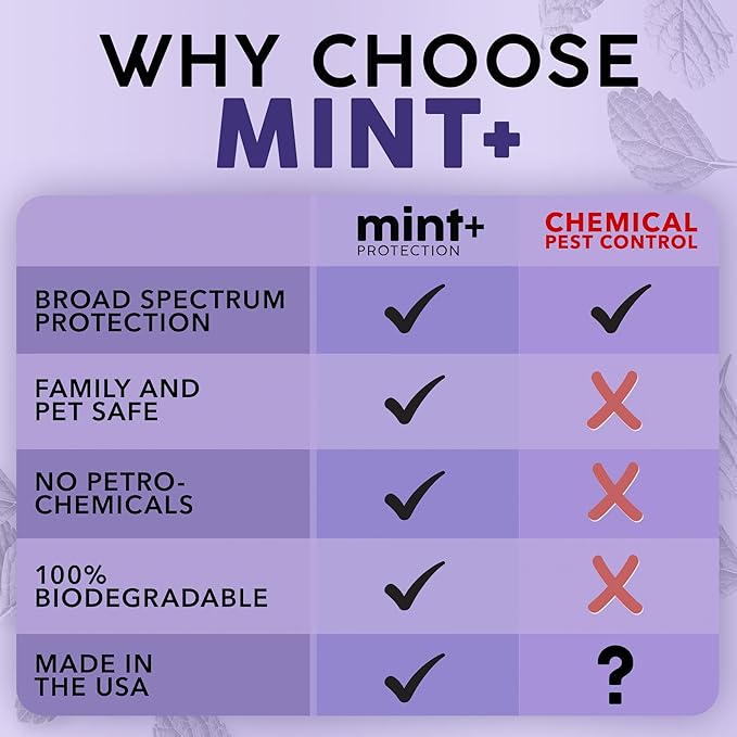 Mint+ Insect and Pest Control Spray, Residue-Free Bug Killer for Indoor & Outdoor Use, 16 oz (475mL)