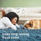 Febreze Fabric Spray Air Freshener, Odor-Fighting Fabric Refresher, Sneaker Balls Alternative, Couch Cleaner, Linen Spray, Multi-Use, Pet Odor Fighter Scent, 23.6 fl oz