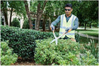 Husqvarna 23" Fine Hedge Shears