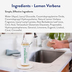 THE CLEAN PEOPLE Liquid Dish Soap - Clean, Simple Ingredients - Extra Scrubbing Power (Lemon Verbena Scent) 12 fl. oz (3 Pack)
