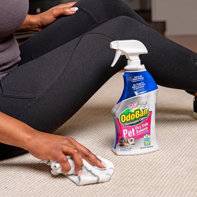 OdoBan Pet Solutions Oxy Stain Remover, Pet Stain Eliminator, Made in the USA, 4-Pack, 32 Ounce Spray Each