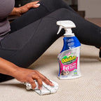 OdoBan Pet Solutions Oxy Stain Remover, Pet Stain Eliminator, Made in the USA, 4-Pack, 32 Ounce Spray Each