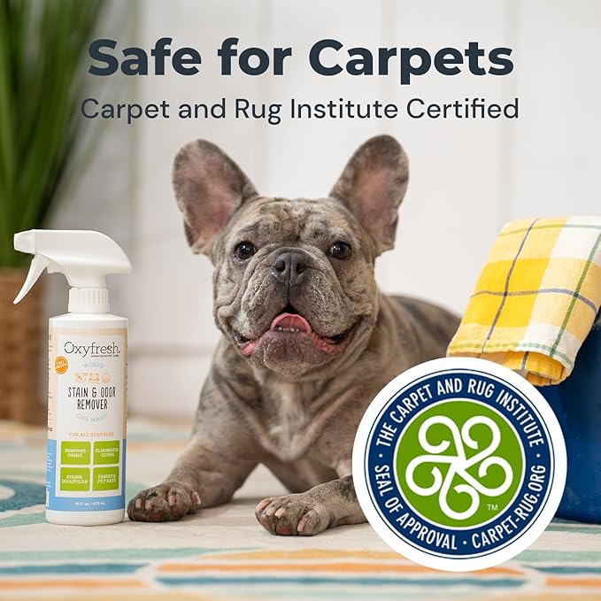 Oxyfresh Strong Carpet Stain Remover & Cleaner Spray – Advanced Pet Urine Odor Eliminator for Entire Home - Fast Acting Dog & Cat Urine Neutralizer