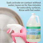 Ginger Lily Farms Botanicals Plant-Based Foaming Spray Dish Soap, Concentrated Formula with Max Grease Cleaning Power, Cruelty-Free, Basil Scent, 1 Gallon (Pack of 4)
