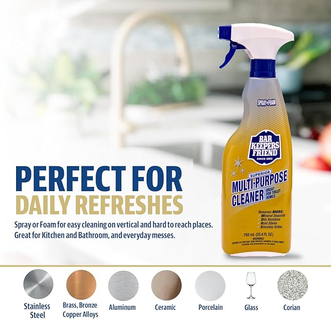 Bar Keepers Friend MORE Spray + Foam Multipurpose Cleaner (2 x 25.4 oz) & Dish Fish Dual Sponge for Bathroom, Kitchen & Outdoor Use on Stainless Steel, Aluminum, Brass, Tile, Ceramic, Porcelain & More