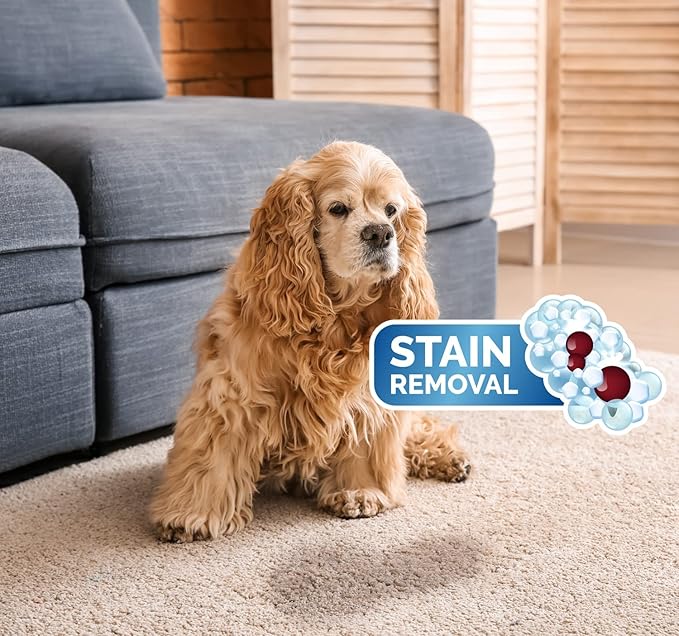 Pat's Spot + Stain Remover, Professional Carpet, Fabric and Upholstery Cleaner, 32oz (Pack of 2) | 40+ Years Carpet Cleaning Experts