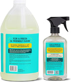 Aunt Fannie's All Purpose Household Cleaner Bundle, Multi-surface Spray and Refill, Powered by Vinegar for Kitchen, Bath, Windows and Countertops, Lemon Scent