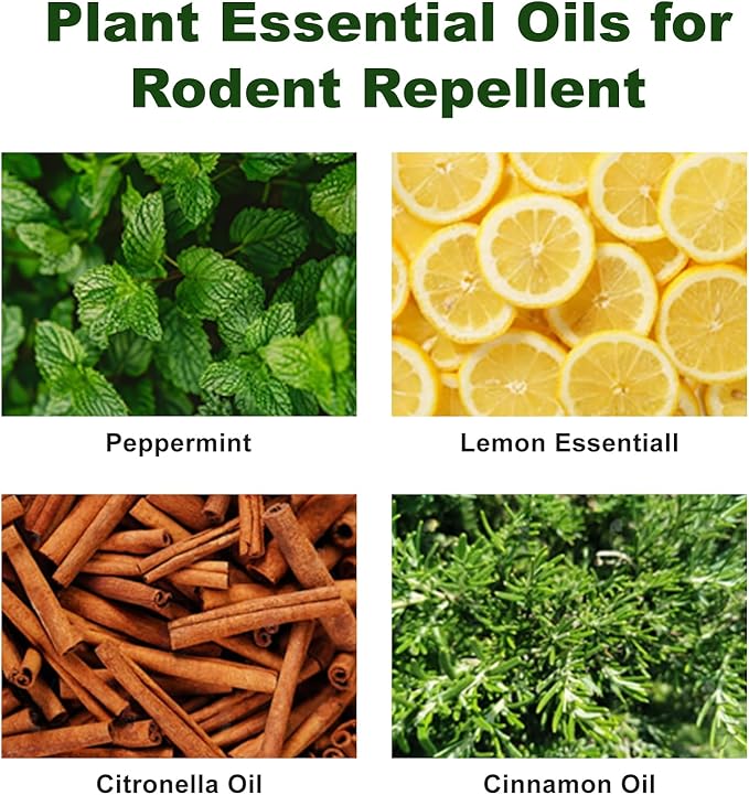 Rodent Repellent with Peppermint Oil -Mouse/Rat/Squirrel Repellent for Garage/Attic/Car Engine - Natural Indoor & Outdoor Mice/Mole Deterrent, Safe vs Moth Balls & Traps (24 Pack)