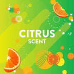 Scrubbing Bubbles Flushable Toilet Bowl Wand Cleaner Refills, Fresh Brush Cleaner Toilet Refill Pads, Removes Limescale & Odors, Citrus Scent, 10 Count (Pack of 1)