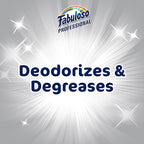 Fabuloso Professional All Purpose Cleaner & Degreaser - Lavender, 1 Gallon (Pack of 1)