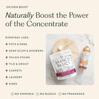 Branch Basics Ultimate Starter Kit: Natural All Purpose Cleaner, Glass, Bathroom, Foaming Hand Wash (4 Plastic Bottles + Concentrate + Oxygen Boost), Laundry Detergent, Plastic-Free Dishwasher Tablets