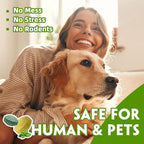 Rodent Repellent with Peppermint Oil – Mouse & Squirrel Deterrent for Car Engines, Garage, Attic – Rat/Mole/Mice Repellent – Indoor Outdoor Use – Alternative to Mouse Trap & Moth Balls.(60 Pack)