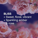 Downy Infusions Fabric Softener Dryer Sheets, Bliss, Sparkling Amber & Rose, 105 Sheets (Pack of 1)