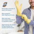 Spot Shot Professional Instant Carpet Stain Remover No-Scrub Aerosol, 14 oz