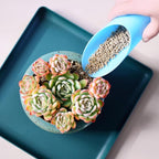 9PCS Bonsai Soil Scoop Plastic Succulent Soil Scoop Indoor Plants Little Small Potting Shovel Bucket Shovel for Garden Planting