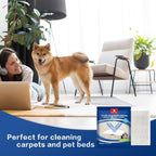 Home Times Carpet Cleaning Wet Wipes, Pet Lifting Pads + Oxy for Stain Removal on Carpet & Area Rug Cleaning, 10 Count(Pack of 1)