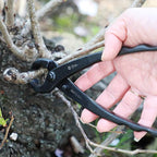 Wazakura Hand Forged Bonsai Tree Trunk Splitter, Made in Japan 210mm(8.25inch), Branch Cutter Japanese Garden Tool - 210mm(8.25inch), Black