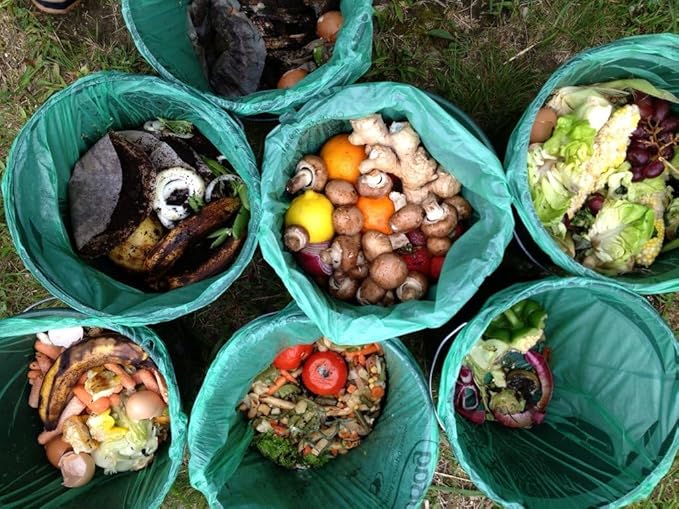 13 Gallon Tall Compostable Thick Trash Bags by BioBag, 30 Count, BPI Certified, Meets ASTM D6400 Standards, Made in USA, Strong Kitchen Bin Liners