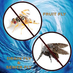 Fruit Fly & Drain Fly Killer - Simple Commercial Drain Gel Treatment - Eliminates Gross Fruit Flies, Drain Flies, Sewer Flies & Gnat Infestations From Any Drain. Fast & Easy - (128 Oz, Case of 4)