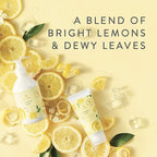 Thymes Countertop Spray - Counter Cleaner Spray - Household Cleaning Supplies (Lemon Leaf, 16.5 fl oz) (Pack of 2)