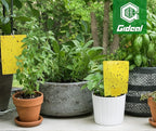 Gideal 20-Pack Dual-Sided Yellow Sticky Traps for Flying Plant Insect Such as Fungus Gnats, Whiteflies, Aphids, Leafminers,Thrips - (6x8 Inches, Included 20pcs Twist Ties)