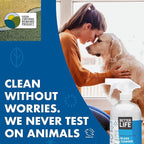 Better Life Glass Cleaner, Streak-free Window Cleaner, Surface Cleaning Spray, Mirror, Screen and Shower Door Cleaner, Removes Fingerprints, Dust, Dirt, Unscented, 32 Oz, Pack of 2