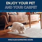 Oxy Pet Carpet Cleaner Spray | Pet Stain Remover for Pet Urine, Cat Pee, Dog Poop | Deep Spot Treating Action on Carpeting, Upholstery, Laundry, Pet Beds & More (160 Fl Oz)