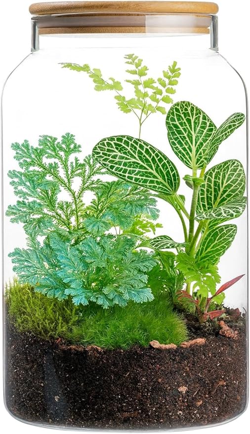 1 Gallon Glass Large Jar with Airtight Bamboo Lid - Strong Clear Borosilicate Canister for Kitchen Food Storage Organizing, Terrarium, Pantry Decorative Container & Laundry Room - Pack of 1