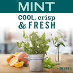Mrs. MEYER'S CLEAN DAY All-Purpose Cleaner Spray,Limited Edition Mint,16 fl. oz,(Pack of 6)